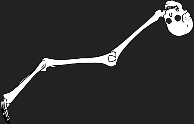 Dem bones dem bones dem – dry bones!