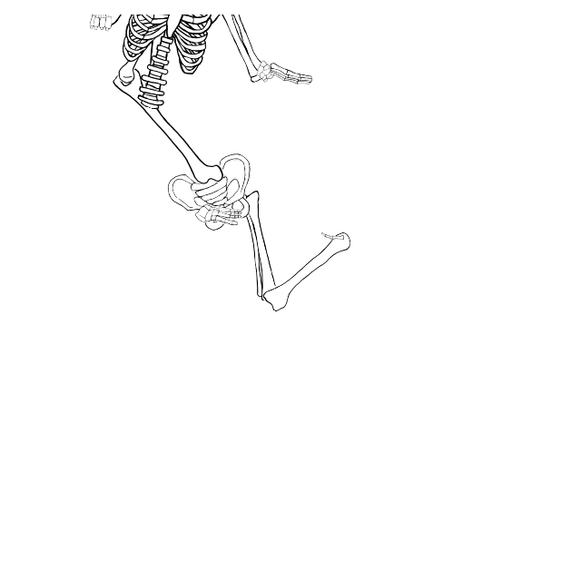 Dem bones dem bones dem – dry bones!