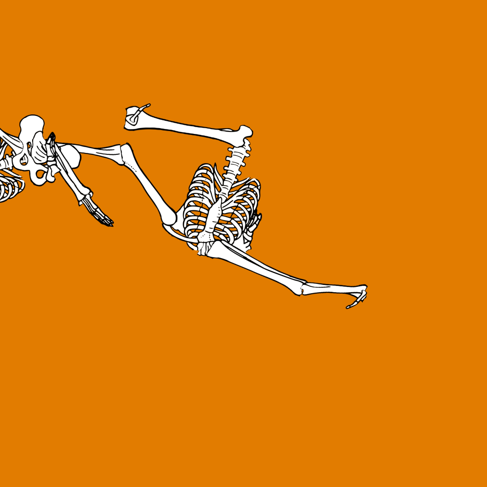 Dem bones dem bones dem – dry bones! Dem bones dem bones dem – extra bones!