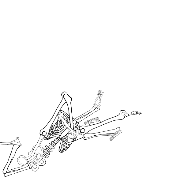 Dem bones dem bones dem – dry bones!
