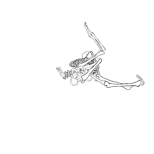 Dem bones dem bones dem – dry bones!