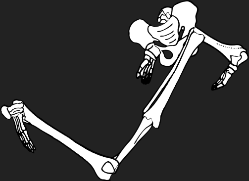 Dem bones dem bones dem – dry bones!