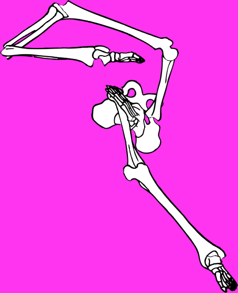 Dem bones dem bones dem – dry bones!