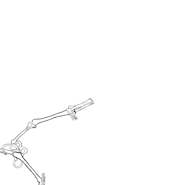 Dem bones dem bones dem – dry bones!