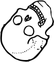Dem bones dem bones dem – dry bones!