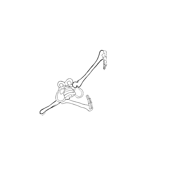 Dem bones dem bones dem – dry bones!