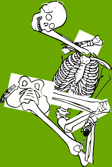 Dem bones dem bones dem – dry bones!