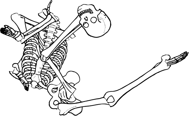 Dem bones dem bones dem – dry bones!