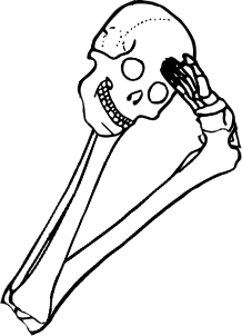 Dem bones dem bones dem – dry bones!
