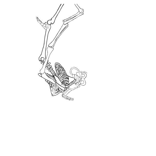 Dem bones dem bones dem – dry bones!