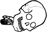 Dem bones dem bones dem – dry bones!