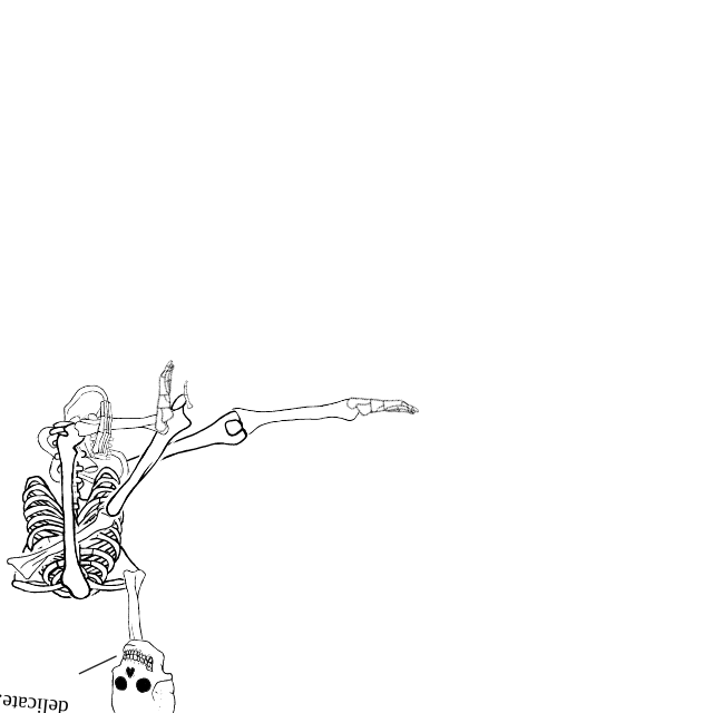 Dem bones dem bones dem – dry bones!