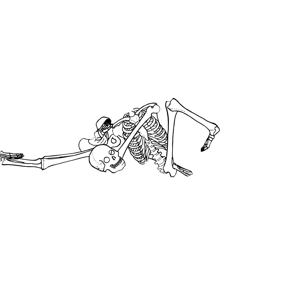 Dem bones dem bones dem – dry bones!