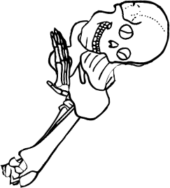 Dem bones dem bones dem – dry bones!
