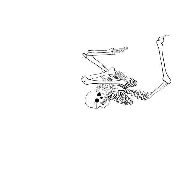 Dem bones dem bones dem – dry bones!