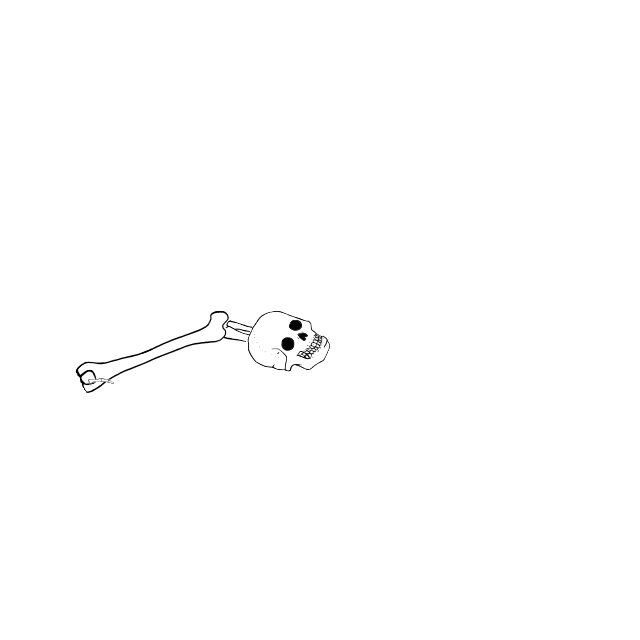 Dem bones dem bones dem – dry bones!