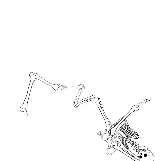 Dem bones dem bones dem – dry bones!