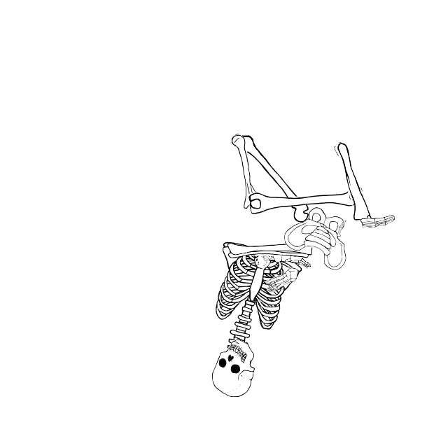 Dem bones dem bones dem – dry bones!