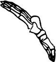 Dem bones dem bones dem – dry bones!