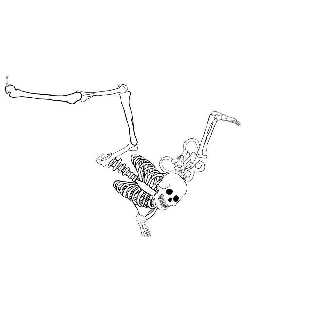 Dem bones dem bones dem – dry bones!