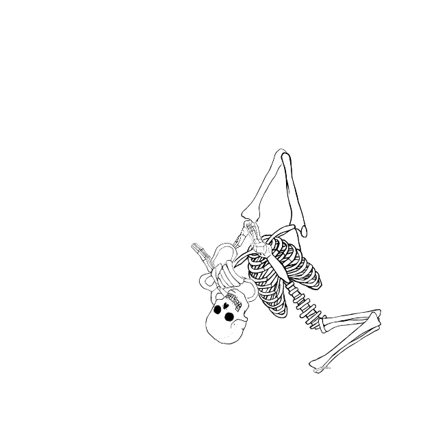 Dem bones dem bones dem – dry bones!