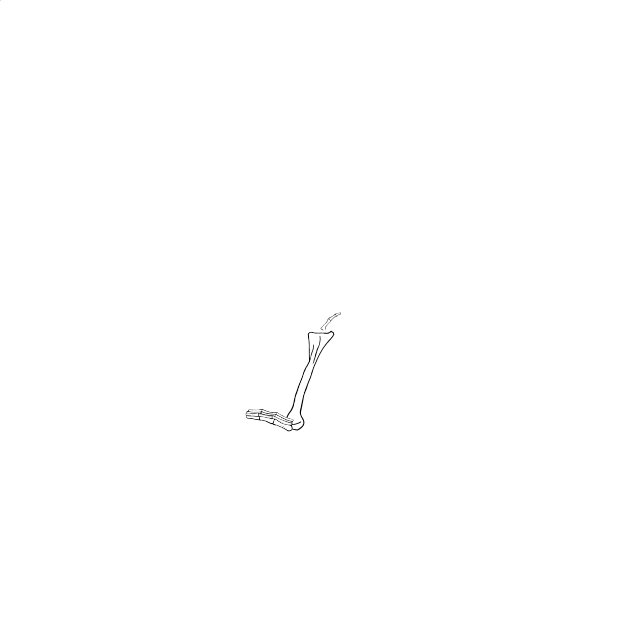 Dem bones dem bones dem – dry bones!