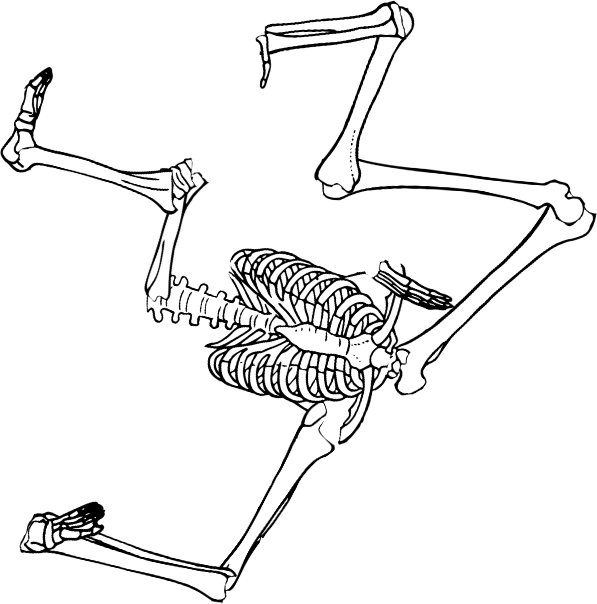 Dem bones dem bones dem – dry bones!