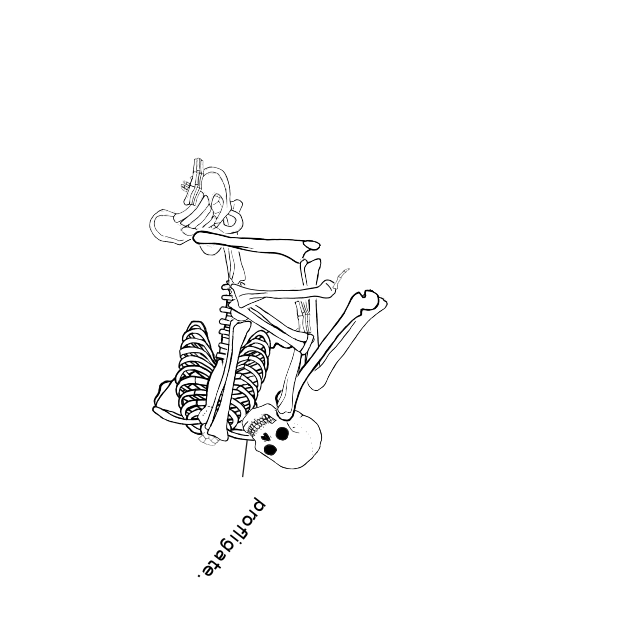 Dem bones dem bones dem – dry bones!