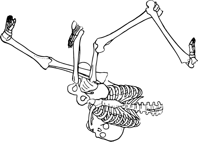 Dem bones dem bones dem – dry bones!