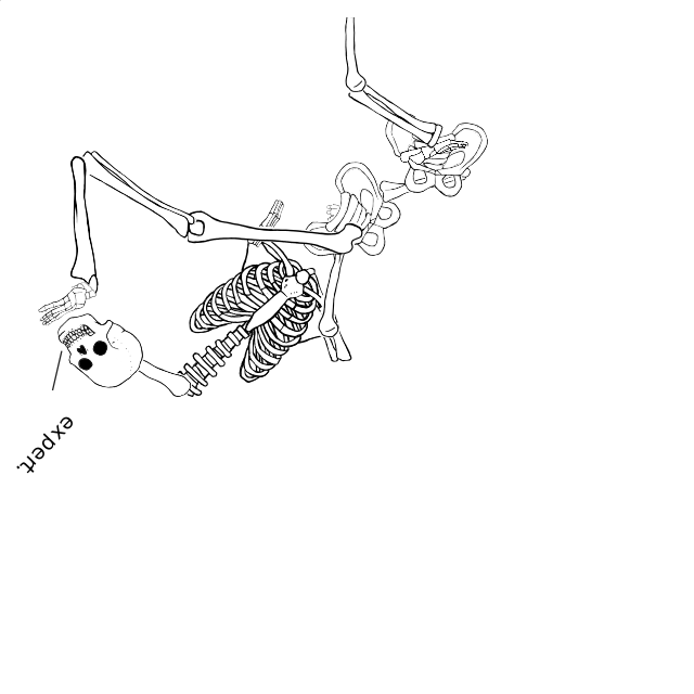 Dem bones dem bones dem – dry bones!