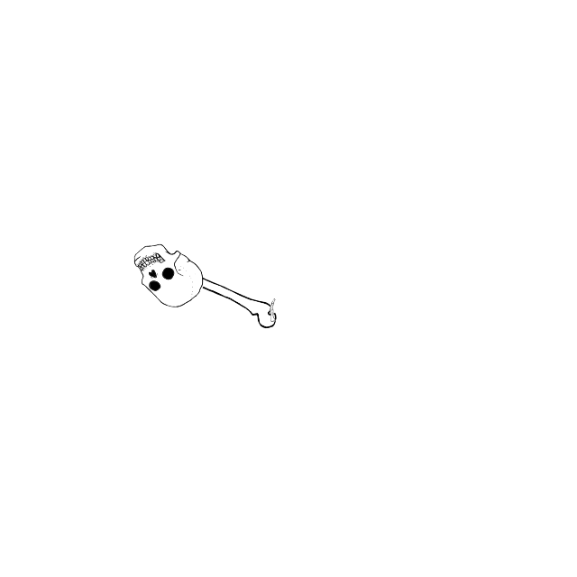 Dem bones dem bones dem – dry bones!