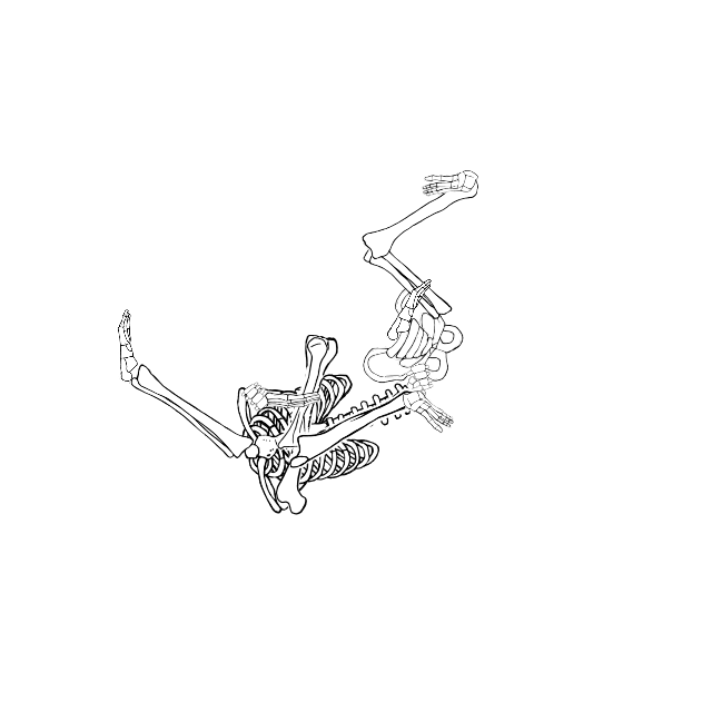 Dem bones dem bones dem – dry bones!