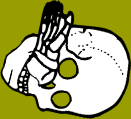 Dem bones dem bones dem – dry bones!