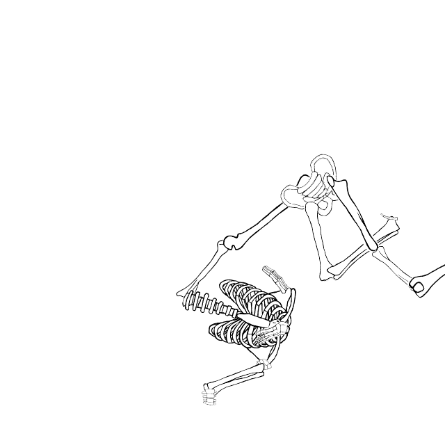 Dem bones dem bones dem – dry bones!