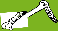 Dem bones dem bones dem – dry bones!