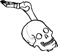 Dem bones dem bones dem – dry bones!