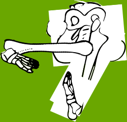 Dem bones dem bones dem – dry bones!