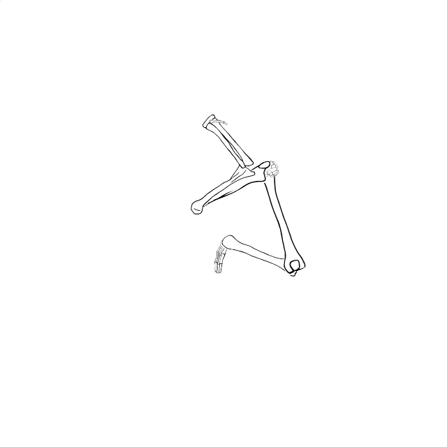 Dem bones dem bones dem – dry bones!