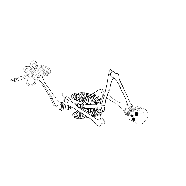 Dem bones dem bones dem – dry bones!