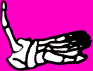 Dem bones dem bones dem – dry bones! Dem bones dem bones dem – extra bones!