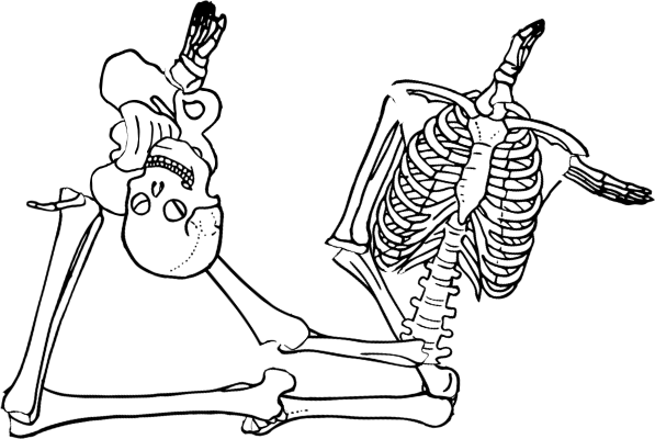 Dem bones dem bones dem – dry bones!