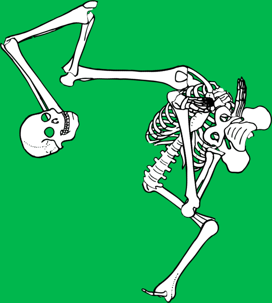 Dem bones dem bones dem – dry bones!