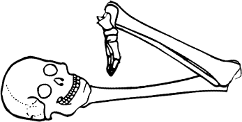 Dem bones dem bones dem – dry bones!
