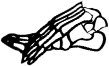 Dem bones dem bones dem – dry bones! Dem bones dem bones dem – extra bones!