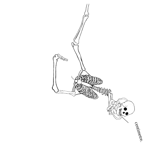 Dem bones dem bones dem – dry bones!
