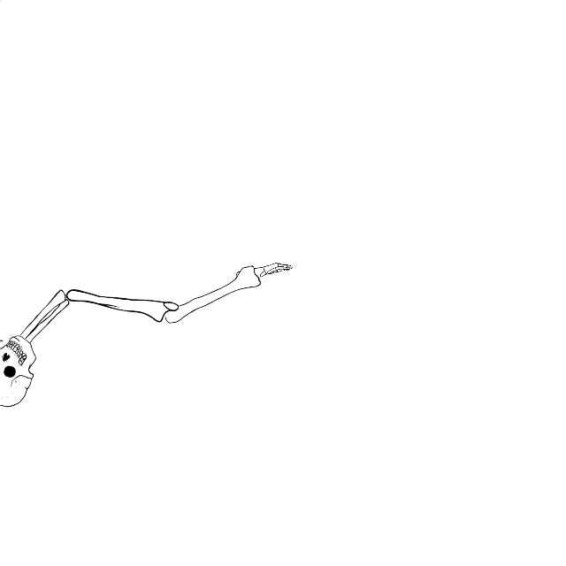 Dem bones dem bones dem – dry bones!