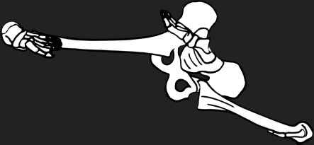 Dem bones dem bones dem – dry bones!