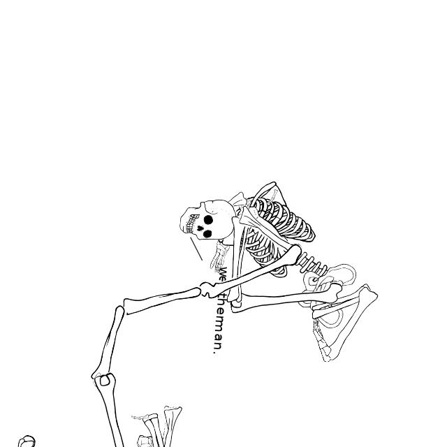 Dem bones dem bones dem – dry bones!