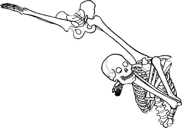 Dem bones dem bones dem – dry bones!