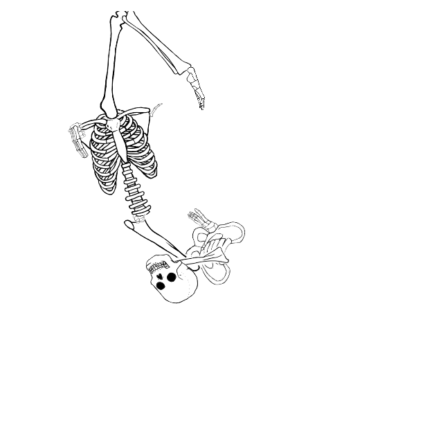 Dem bones dem bones dem – dry bones!
